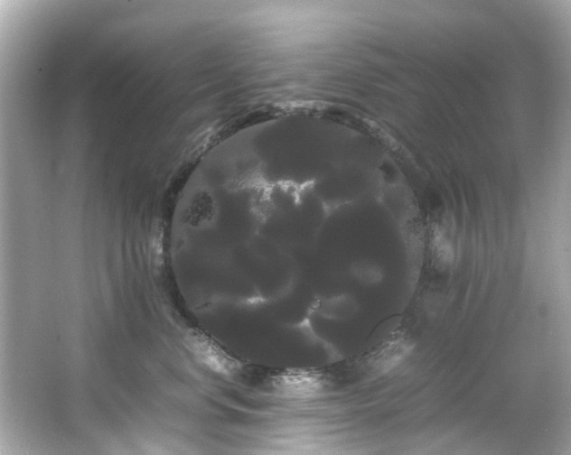 X0000066500668200603201324