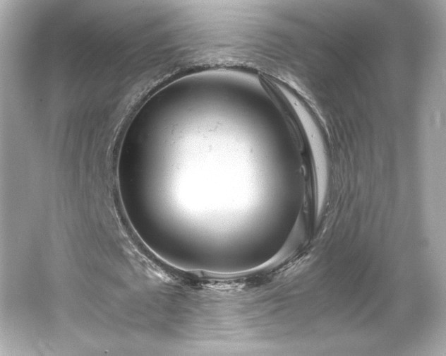 X0000066500673200603201324