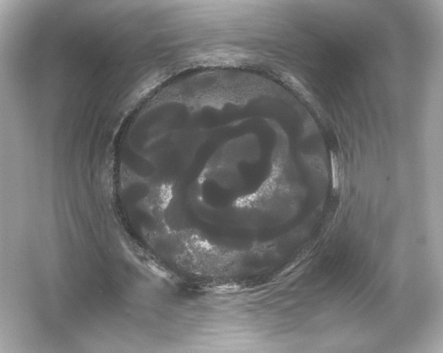 X0000066500675200603201324