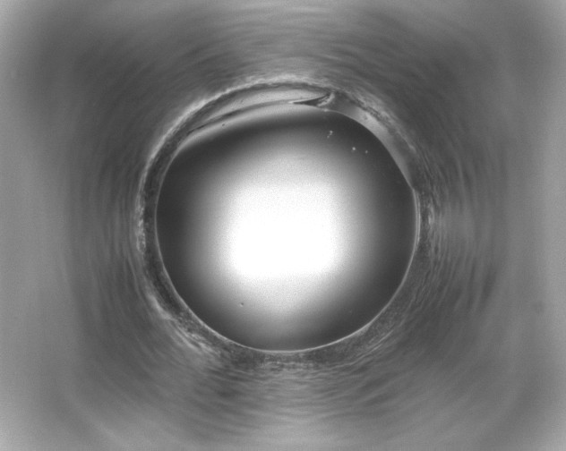 X0000066500676200603201324