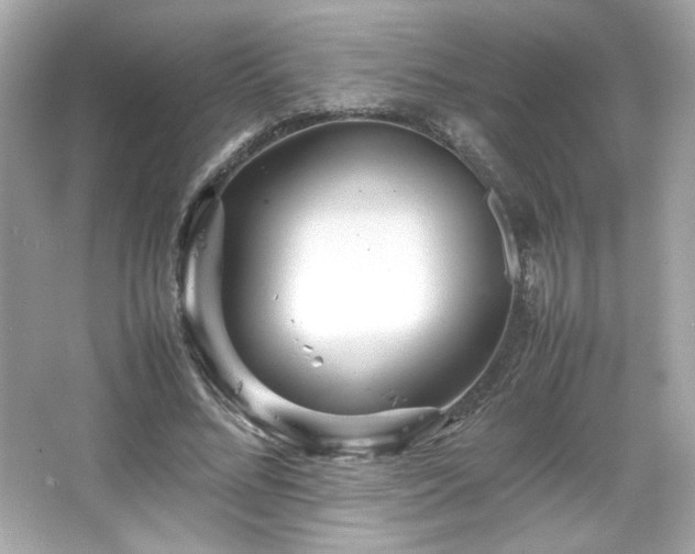 X0000066500684200603201324