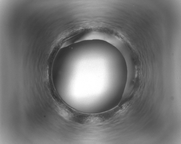 X0000066500685200603201323