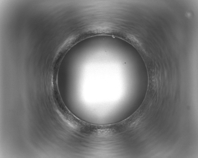 X0000066500686200603201323