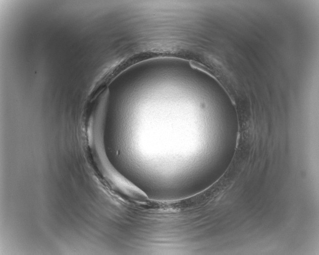 X0000066500688200603201323