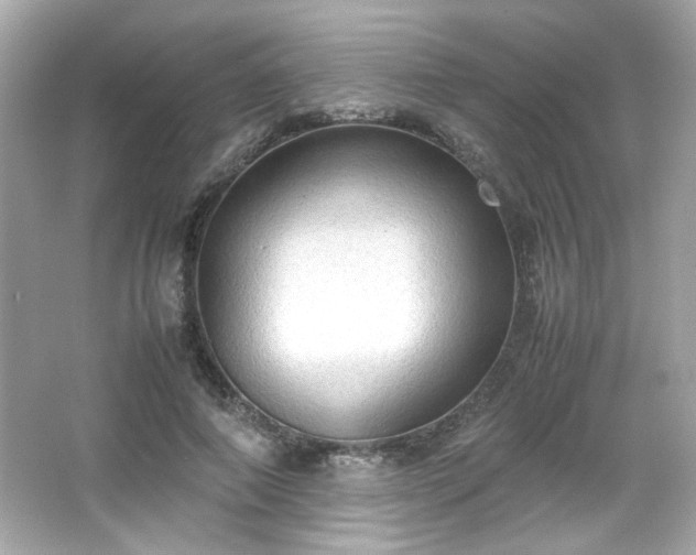 X0000066500690200603201323