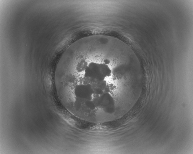 X0000066500691200603201323