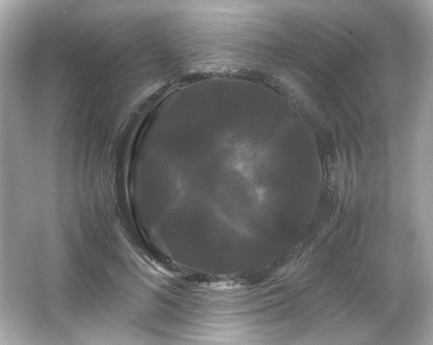 X0000066500692200603201323