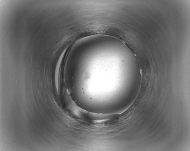 X0000066500693200603201323