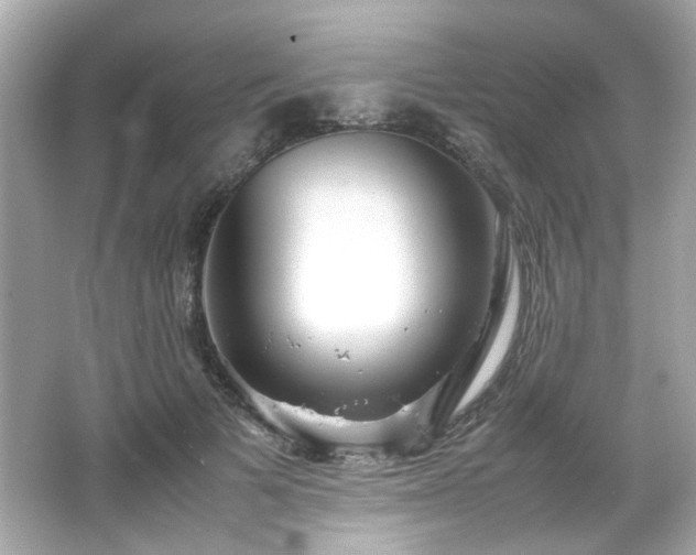 X0000066500697200603201323