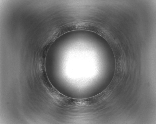 X0000066500698200603201323
