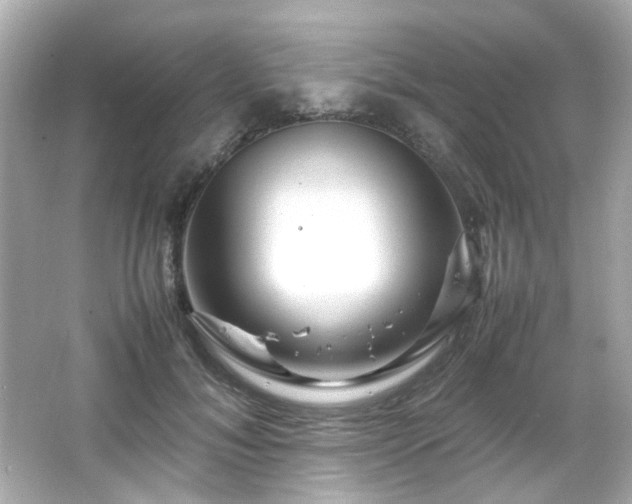 X0000066500700200603201323