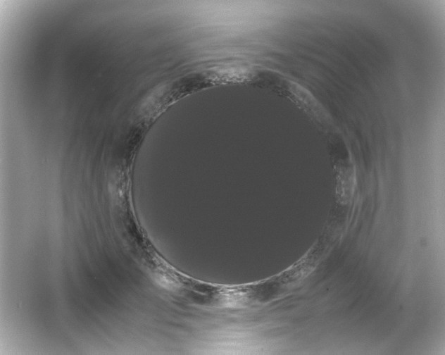 X0000066500701200603201323