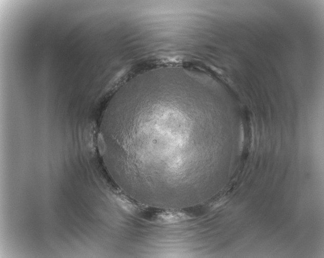X0000066500712200603201323