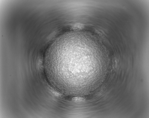 X0000066500714200603201323