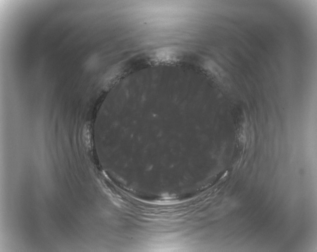 X0000066500715200603201323