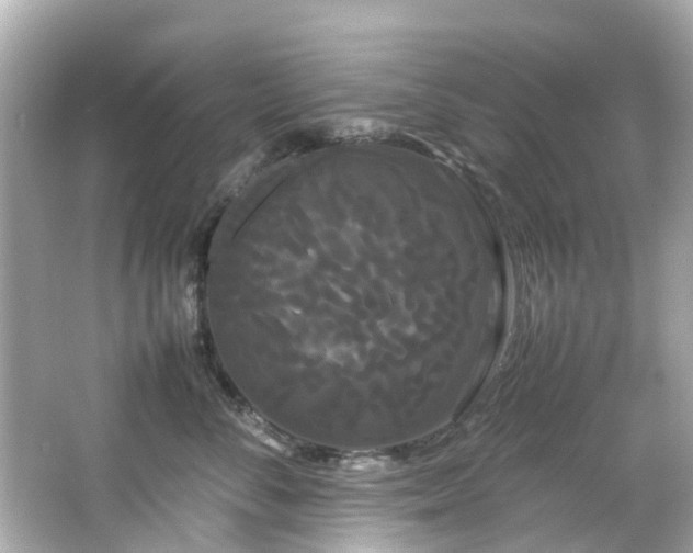 X0000066500716200603201323