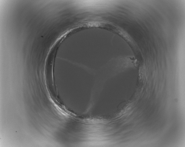 X0000066500722200603201322