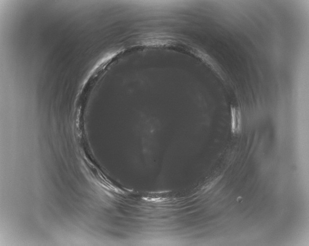 X0000066500723200603201322