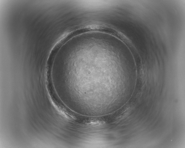 X0000066500730200603201322