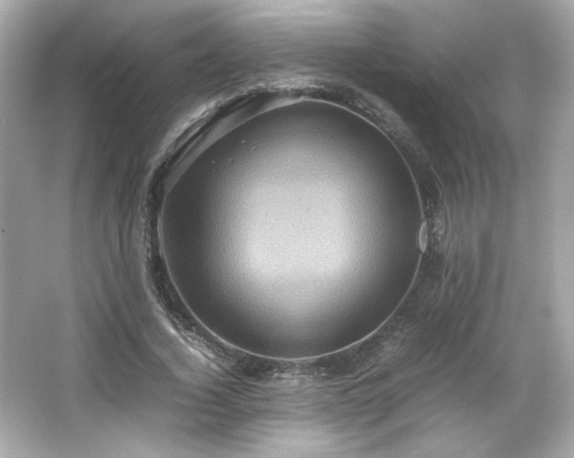 X0000066500732200603201322