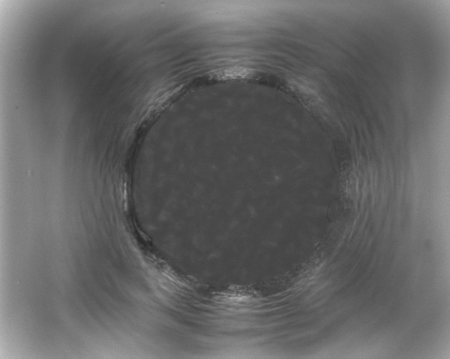 X0000066500743200603201322