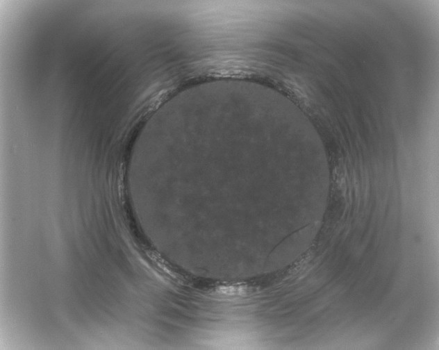 X0000066500744200603201322