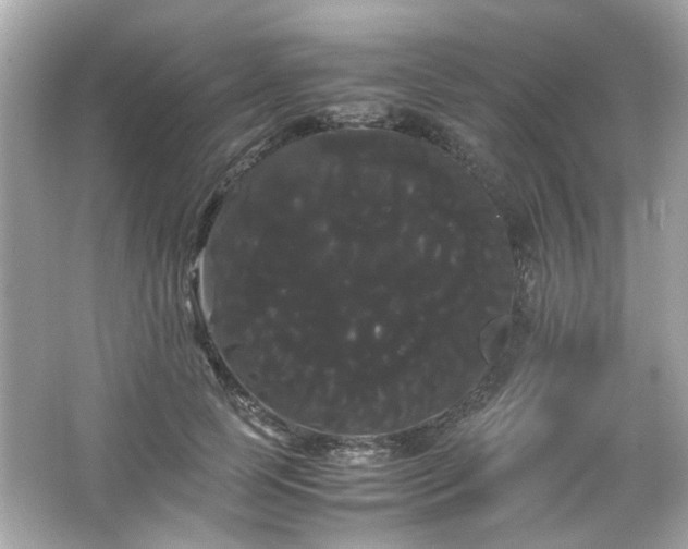 X0000066500745200603201322