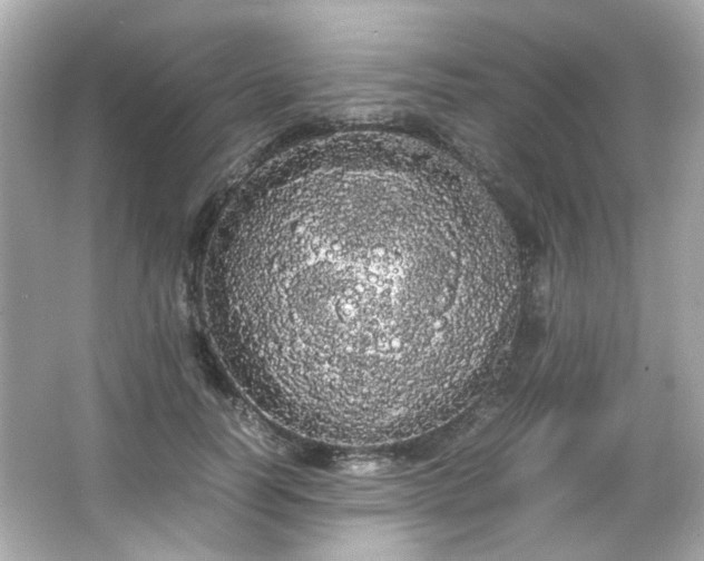 X0000066500746200603201323