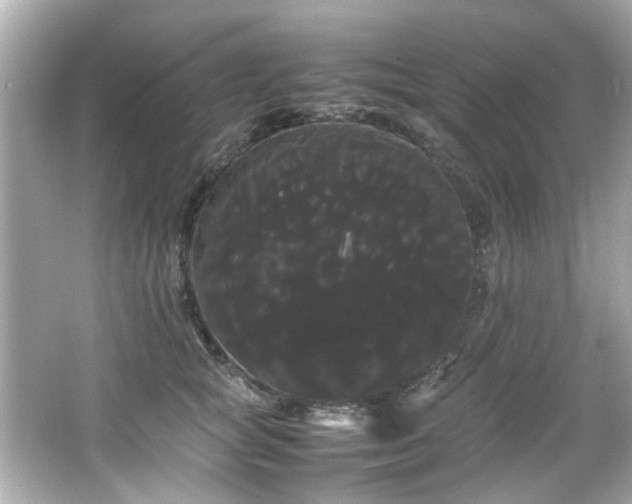X0000066500757200603201323