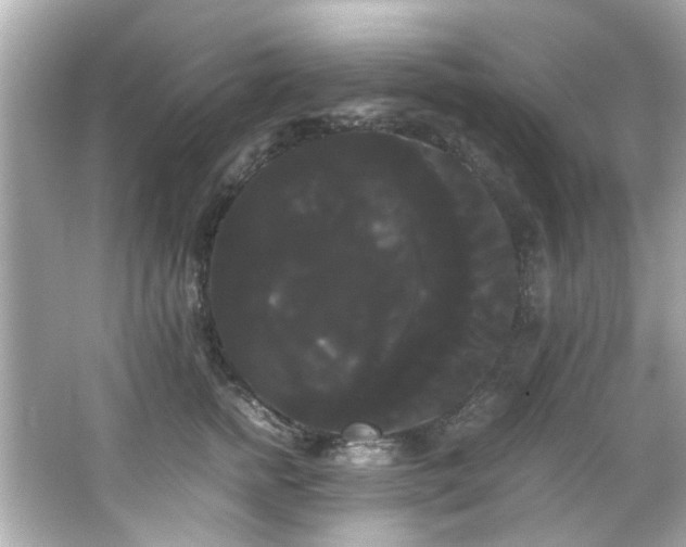 X0000066500758200603201323