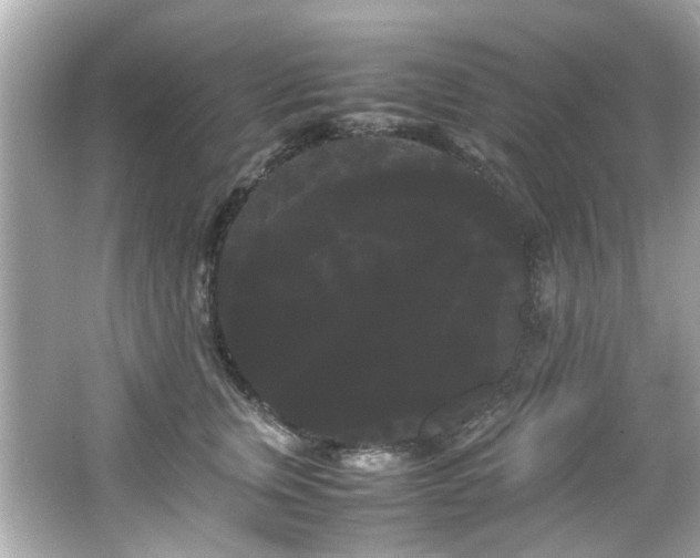 X0000066500759200603201323