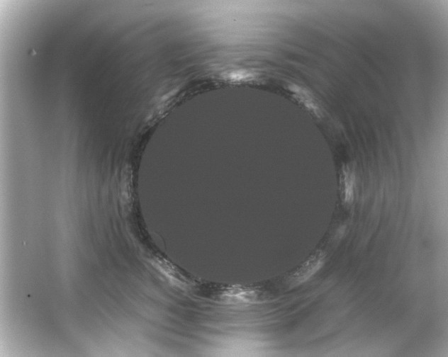 X0000066500760200603201323