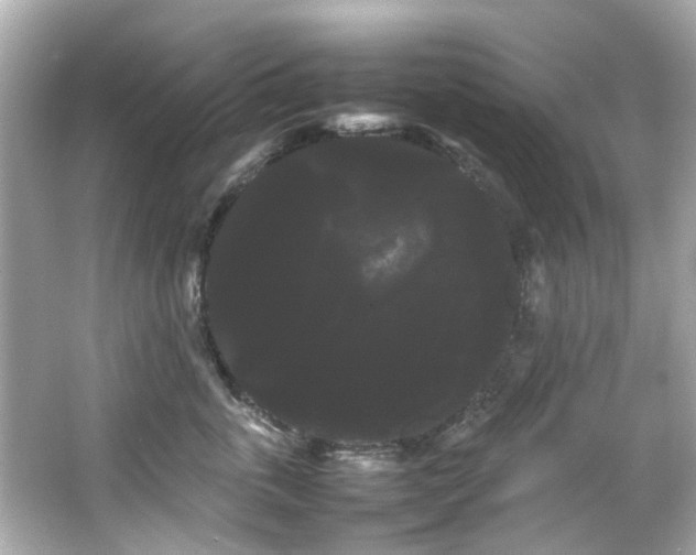 X0000066500763200603201323