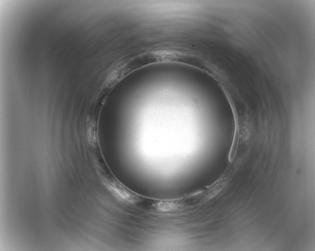 X0000066500766200603201323