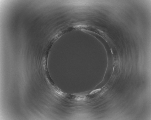 X0000066500767200603201323