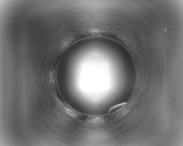 X0000066500768200603201323