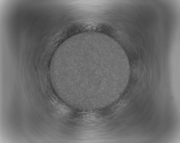 X0000066500769200603201322