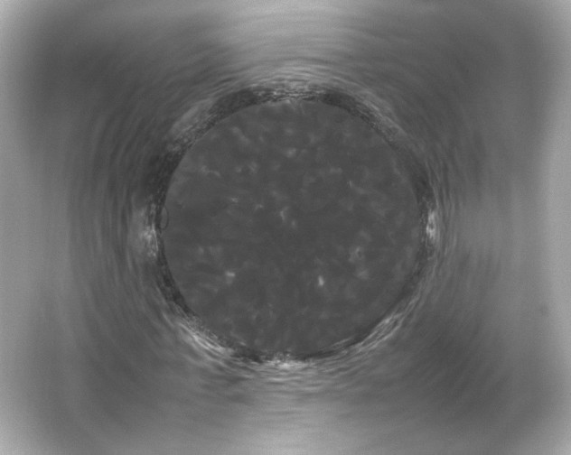 X0000066500771200603201322