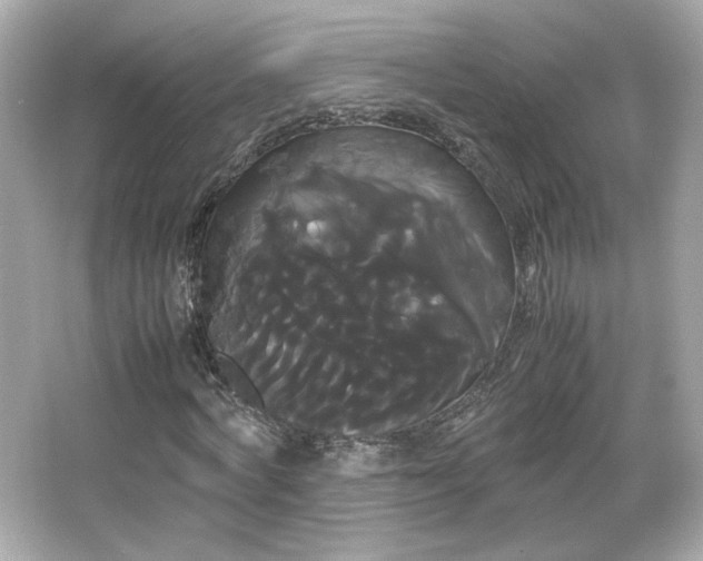 X0000066500772200603201322