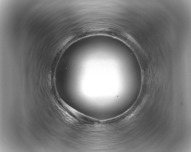 X0000066500777200603201322