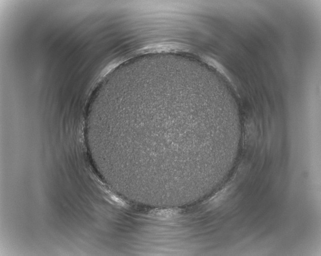 X0000066500778200603201322