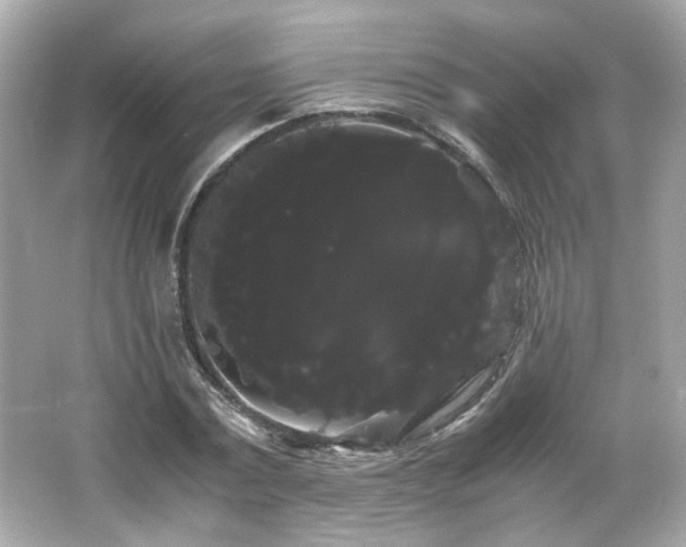 X0000066500779200603201322