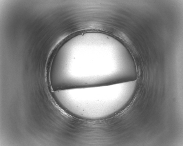 X0000066500780200603201322