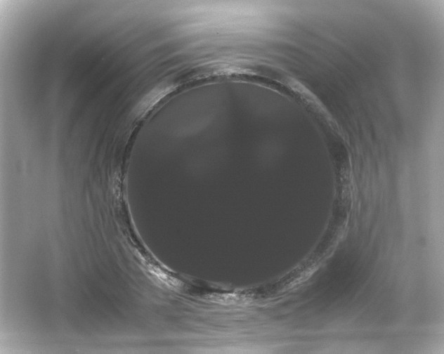 X0000066500785200603201322