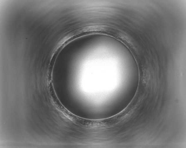 X0000066500786200603201322