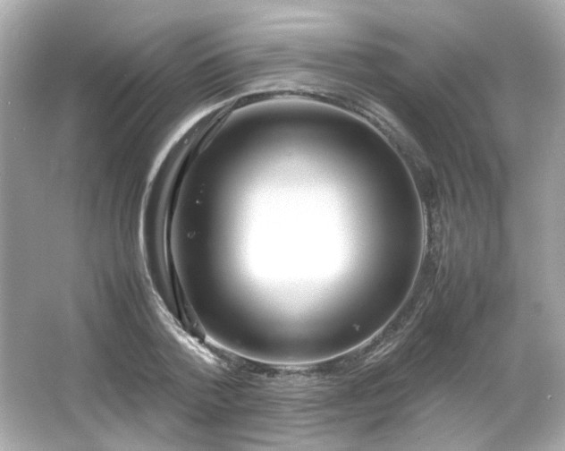 X0000066500788200603201322