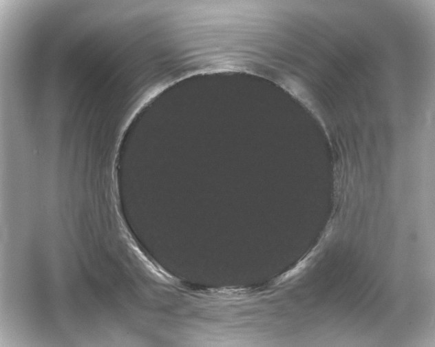 X0000066500789200603201322