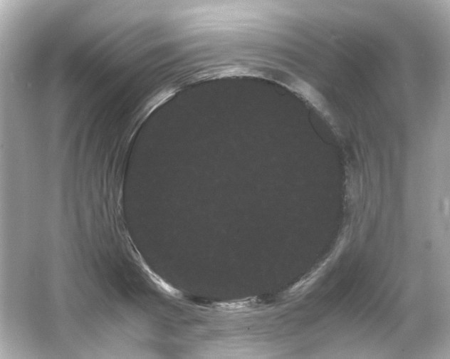 X0000066500793200603201322