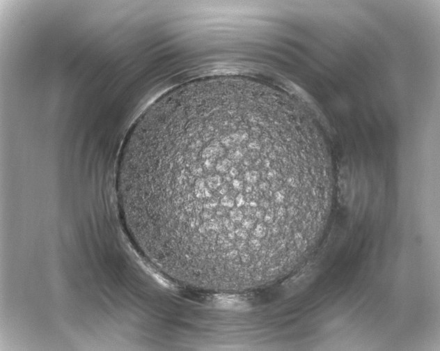 X0000066500794200603201322