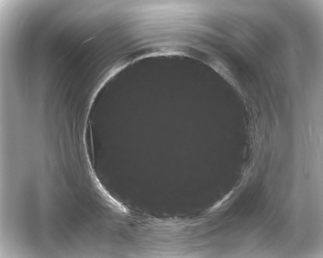 X0000066500797200603201322